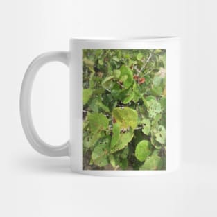 Leaves Mug